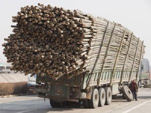 Chở hàng vượt quá chiều dài của xe